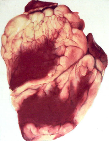 'Love' oil on canvas 51x41cm 2003