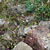 2008 digital print