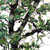 'Tree' Oil and gloss on board 2005