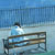 'Reading on a Bench'  Oil on board 38 x 30.5 cm 2006